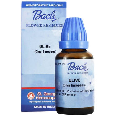 https://cdn.shopify.com/s/files/1/1857/6931/products/ewGYyDP66v.jpg?v=1644821821
